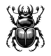Beetle