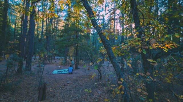 Beautiful autumn scenery in the forest. Transitional timelapse of sunset to nightfall. Couple setting up the tent in the woods. Camping with dog in the forest. 