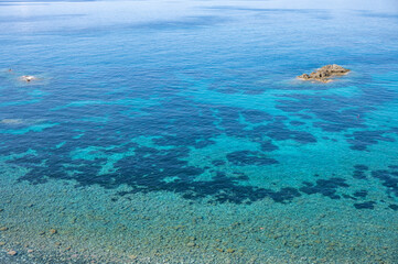 Naklejka premium coral reef and blue sea