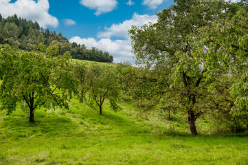 Fototapeta premium Kappelrodeck is a municipality in Ortenau District, Baden-Württemberg, Germany