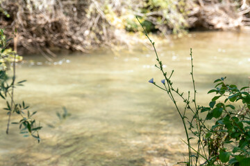 Mijares river in Sarrion Teruel Aragon Spain summer time natural environment