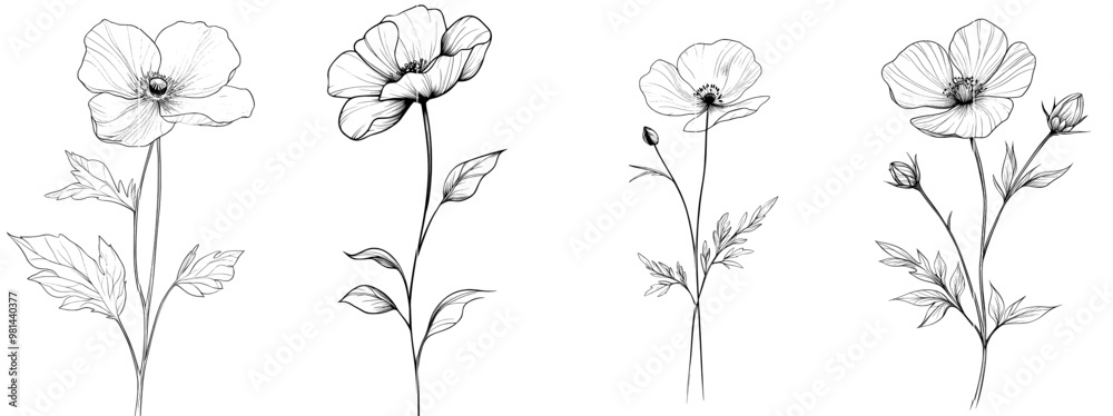 Wall mural Drawing of a globe flower in continuous line art style. Black and white line art sketch isolated on white background.