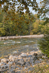 Chilliwack River during a summer season in Chilliwack, British Columbia, Canada