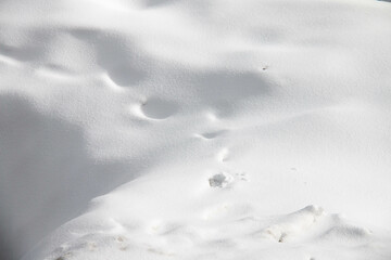 Serene Winter Landscape featuring blanket of Pristine White Snow with subtle Footprints and gentle...