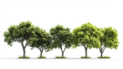 captivating nature essence: image of diverse group of trees on isolated white background symbolizing environmental conservation, natural beauty, and design versatility in green themes
