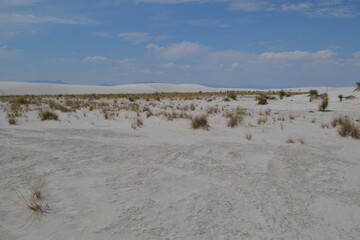 Gypsum desert of White Sands, New Mexico