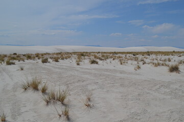 Gypsum desert in White Sands National Monument, New Mexico