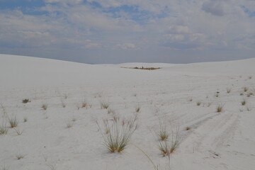 White sand stretching all the way to the horizon, White Sands, New Mexico