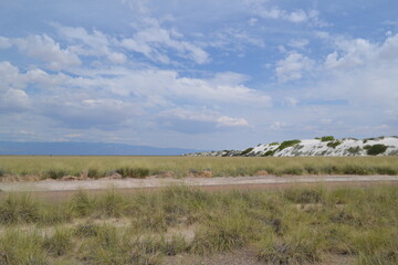 A view of the prairie from White Sands National Park, New Mexico