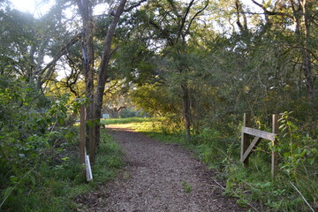 Forest Trail with Wooden Gate at Brazos Bend State Park, Texas