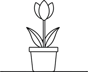 Tulip Beauty Vector Illustration Perfect for Floral Art Lovers
