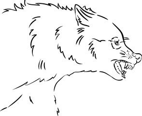 coloring of a wolf in profile with a grin — predator, wild nature. A linear drawing of an aggressive wolf in profile with bared teeth, a black-and-white illustration of a wild predator.