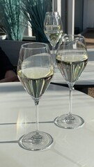 Champagne glasses