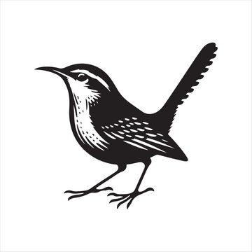 recommend clip art: High-Quality Carolina Wren Silhouette Vector Files for Your Design Projects