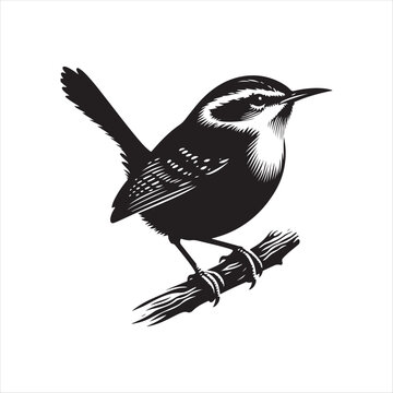 recommend clip art: High-Quality Carolina Wren Silhouette Vector Files for Your Design Projects
