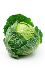 Obraz premium A fresh head of cabbage on a clean white surface