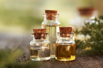Three bottles of aromatherapy essential oil with fresh thyme leaves