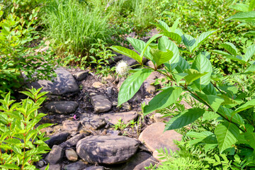 Smokey Mountains, Blue Ridge Mountains, Shenandoah Mountains