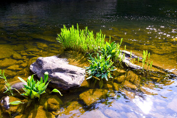 Smokey Mountains, Blue Ridge Mountains, Shenandoah Mountains