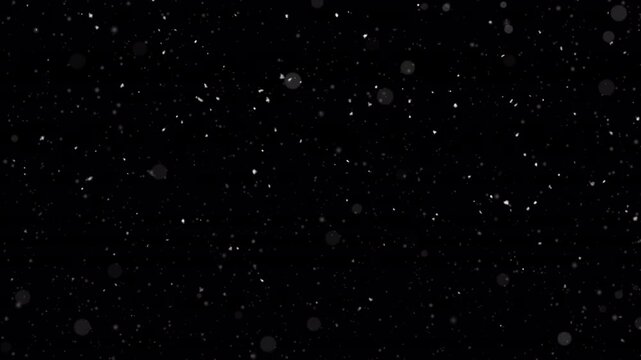Winter snow - falling snow animation, seamless loop. Alpha channel.

