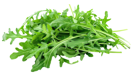 Arugula leaves isolated on transparent background.