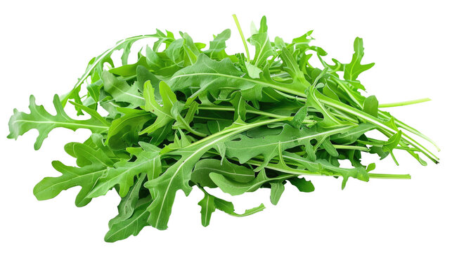 Arugula leaves isolated on transparent background.