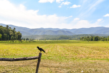 Smokey Mountains, Blue Ridge Mountains, Shenandoah Mountains
