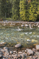 Chilliwack River during a summer season in Chilliwack, British Columbia, Canada