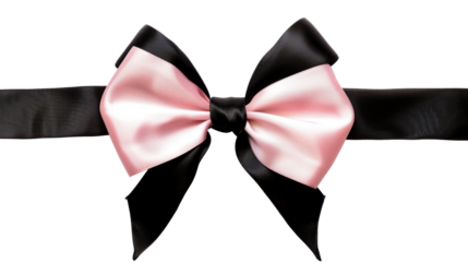 Black pink coquette ribbon bow  on transparent