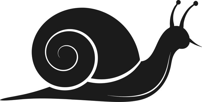 recommend clip art: Nature snail silhouette vector art .This is an editable and printable vector eps file .