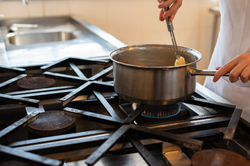 Professional Chefs in Action