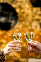 Couple clinking glasses of champagne against the backdrop of a photo zone, close-up