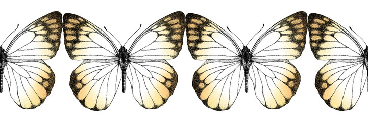 Seamless border yellow butterfly illustration. Isolated on background. Hand drawn draw butterflies. Animal motif. Decor, decoration, cards, posters, design, Greeting, fabric, textile