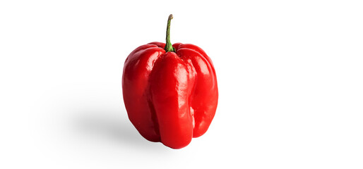 Red Hot Habanero pepper isolated on white background close up.