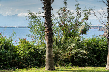 Fototapeta premium Touristic Antalya city Muratpaşa district, Lara road, public parks on the sea view cliffs.