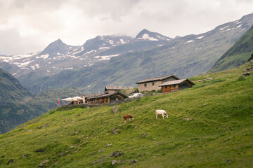 Fototapeta premium swiss alpine village