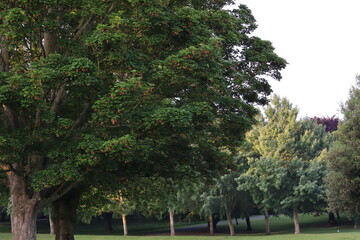 War Memorial Gardens Dublin