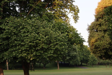 War Memorial Gardens Dublin