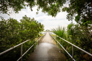 Walkway to the beach surrounds by lush trees in St. Simons Island, Georgia