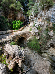 Obraz premium Scenic view of Camí del Barranc GR-221 hiking trail crossing a stone bridge over the dry riverbed of Torrent de Biniaraix canyon, surrounded by limestone cliffs, an ideal outdoor adventure in Mallorca