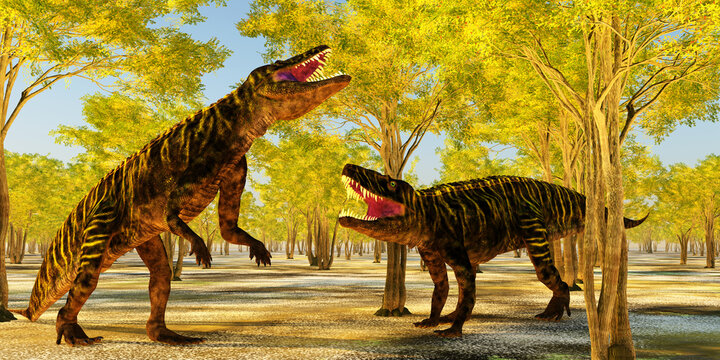 Batrachotomus fight over Territory - Batrachotomus was a carnivorous archosaur predator that lived in Germany during the Triassic Period.