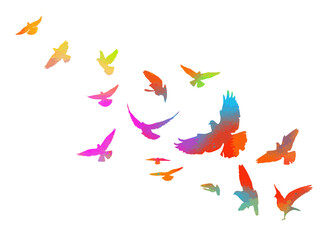 Fototapeta premium Abstract flying colored birds. hand drawing. Not AI. Vector illustration