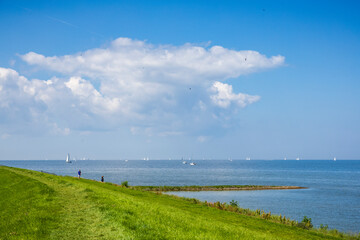 Aussicht vom Deich auf das Ijsselmeer vor blauem Himmel im Sommer