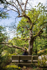 Frau sitzt auf einer Bank vor einem Totholz Baum
