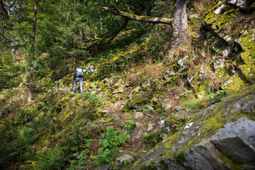 Fototapete bei efototapeten.de bestellen   
