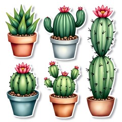 Watercolor Amazing cute  Set of Cute Cactus and Succulent Stickers   Clipart, white background, sticker