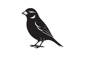 Common Sparrow silhouette vector illustration, Common Sparrow silhouette PNG, Common Sparrow silhouette vector .