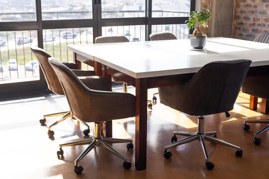 Empty conference room with chairs and table, potted plant on table