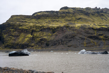 Iceland black sand beach in summer