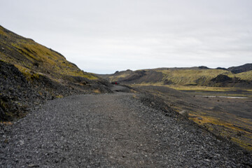 Iceland black sand beach in summer